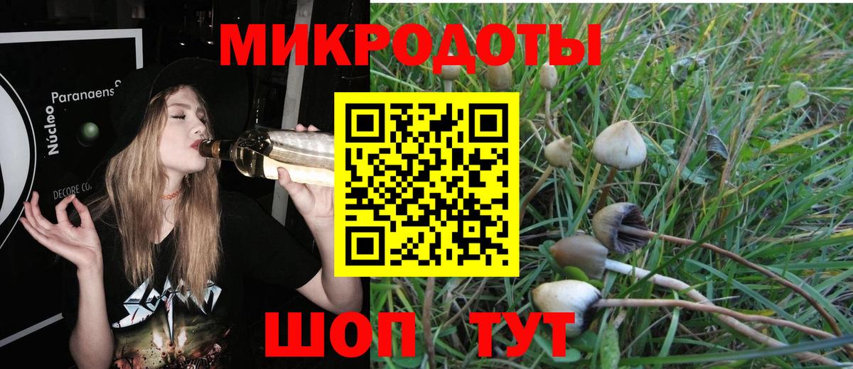 продажа наркотиков  Псилоцибиновые грибы Psilocybine cubensis  Вход с VPN  Киров 